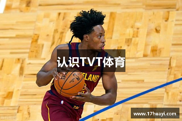 认识TVT体育